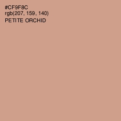 #CF9F8C - Petite Orchid Color Image